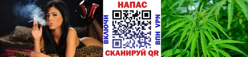 Шишки марихуана тримм  нарко площадка состав  Кропоткин 